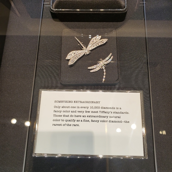 Nothing but a great day - Picture 2 of 7